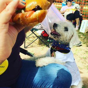 Meet your Posher, Lu